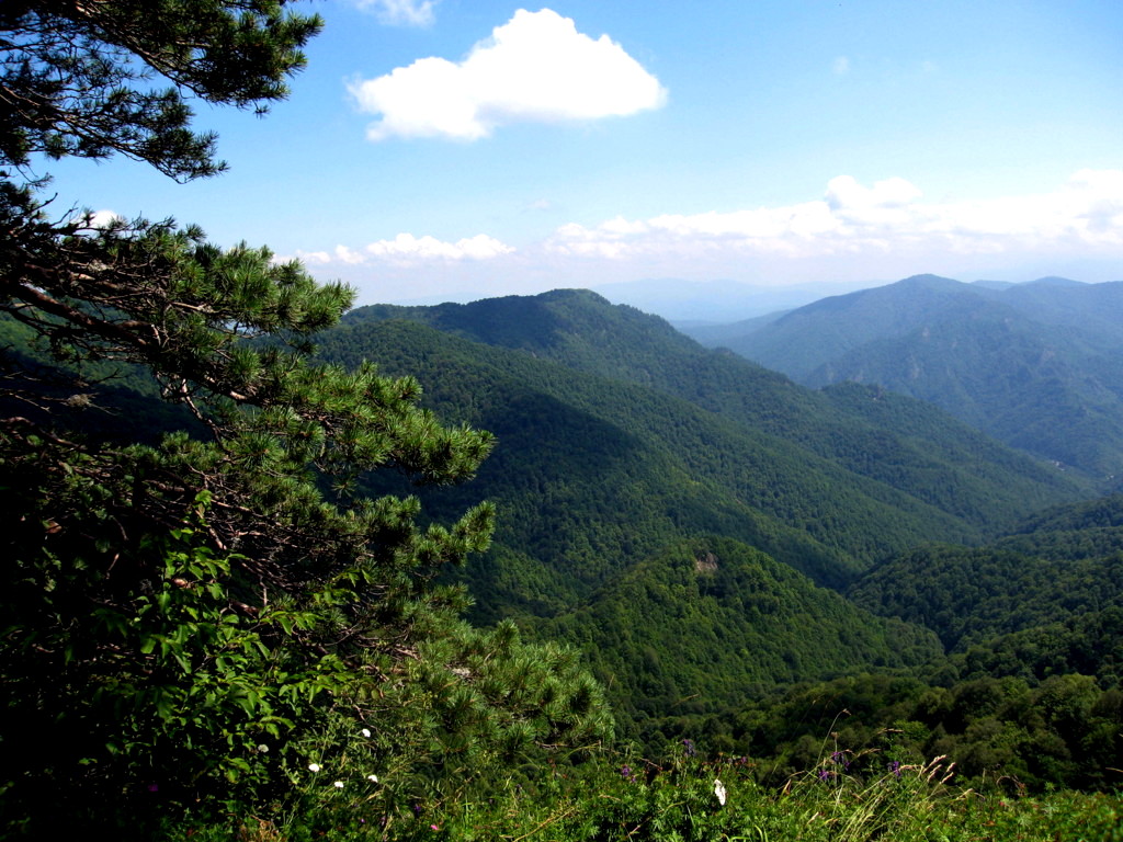 Lagonaki Plateau